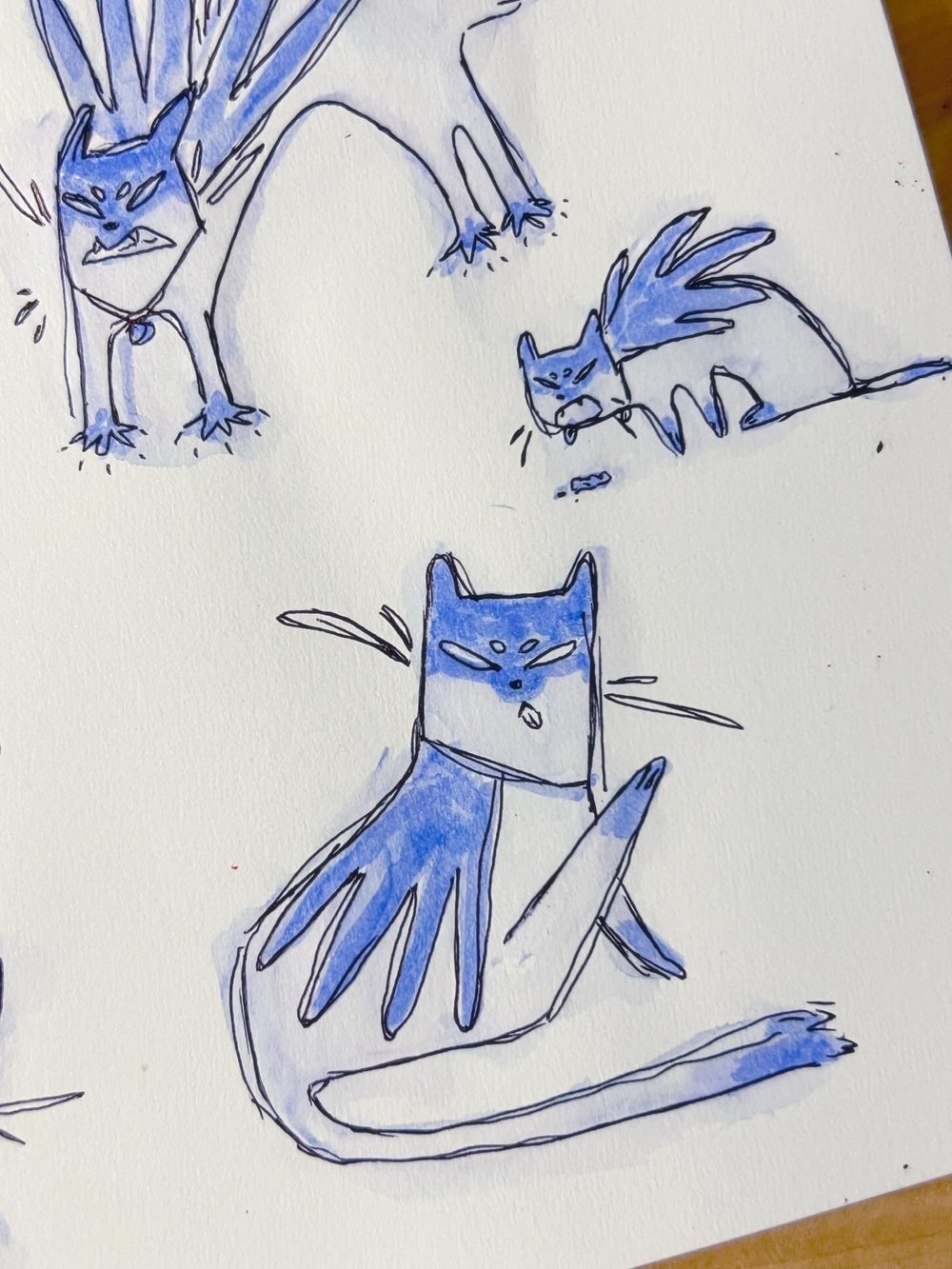 CATMAN
